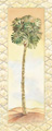 Image Not Available